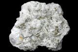 Calcite Crystal Cluster with Pyrite - Morocco #133709-3